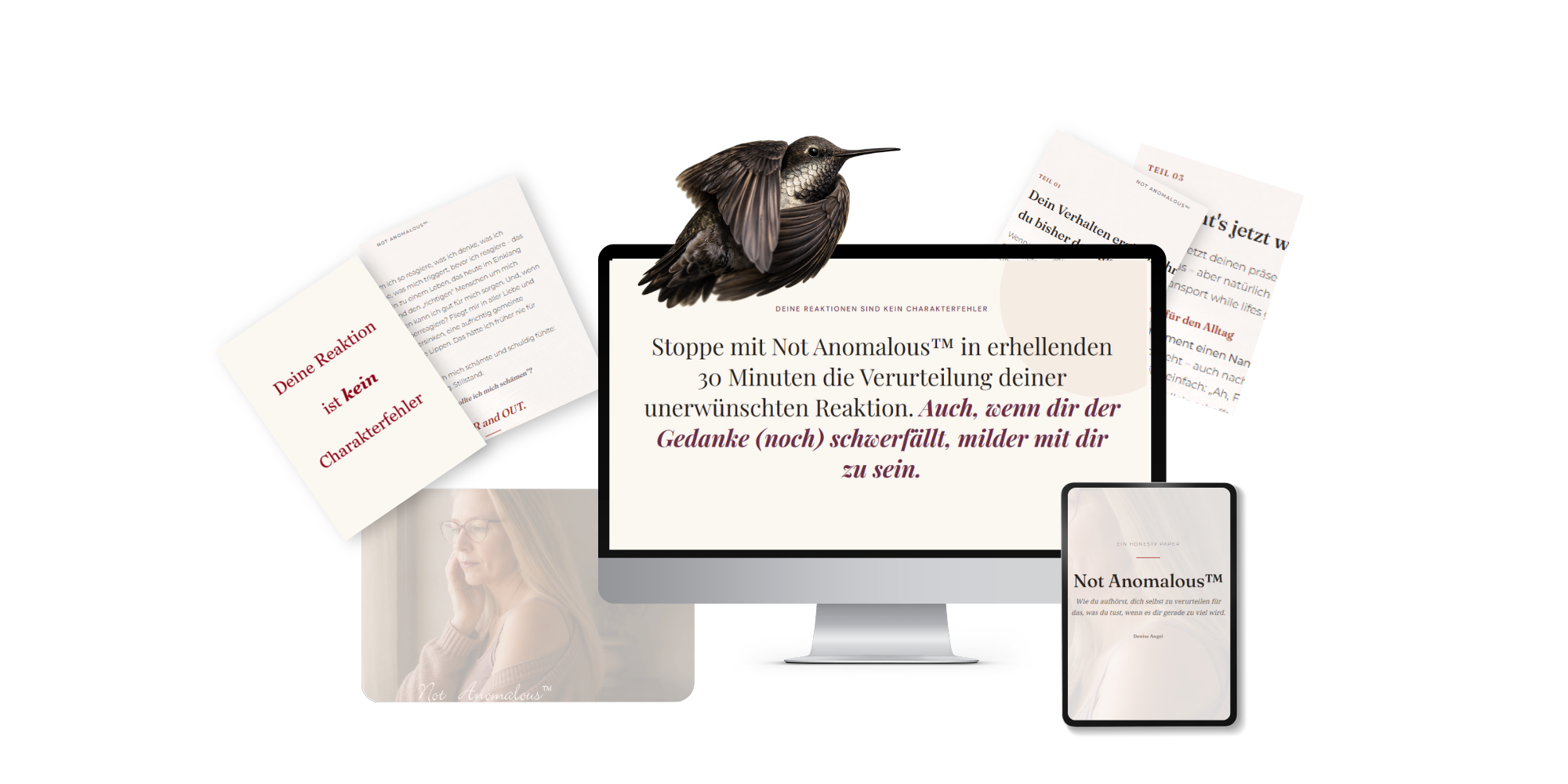 Not Anomalous Honesty Paper als Workbook